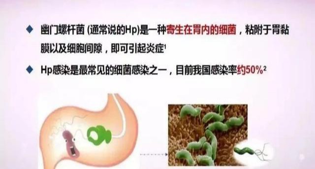 中禾宝桑生物科技有限公司：中禾宝桑生物科技：引领蚕丝产业绿色创新