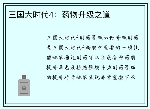 三国大时代4：药物升级之道