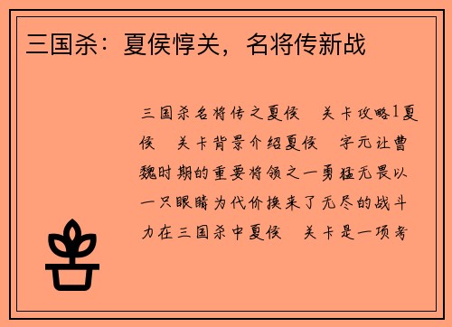 三国杀：夏侯惇关，名将传新战